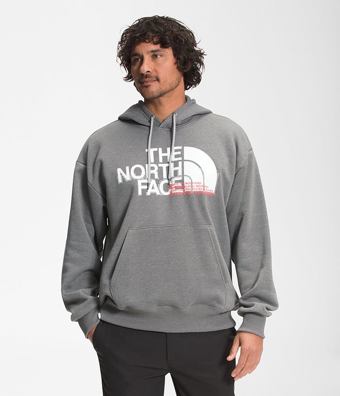 The North Face Mens Hoodie Coordinates Pullover 741DKOTNZ - Grey